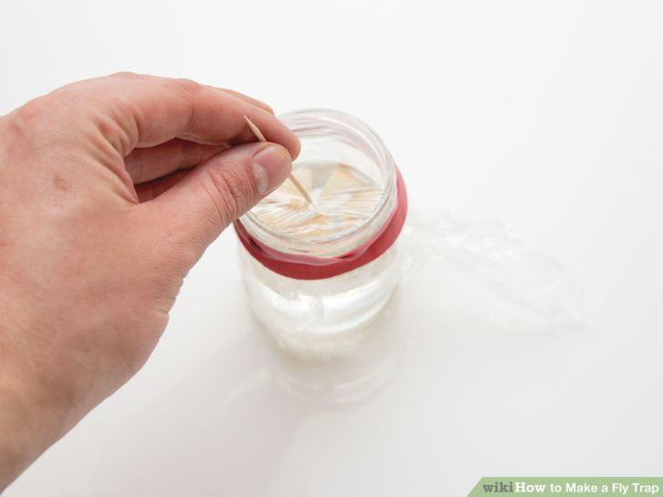 Make a Fly Trap Step 25 Version 3.jpg