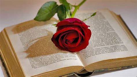 Cada año, un día como hoy (19 de noviembre), se festeja a la comunidad masculina: El mundo celebra el DÃ­a Internacional del Libro