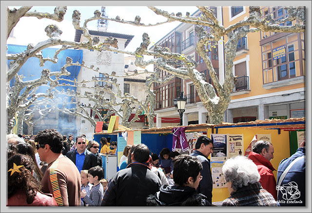 1 Feria de Asociaciones