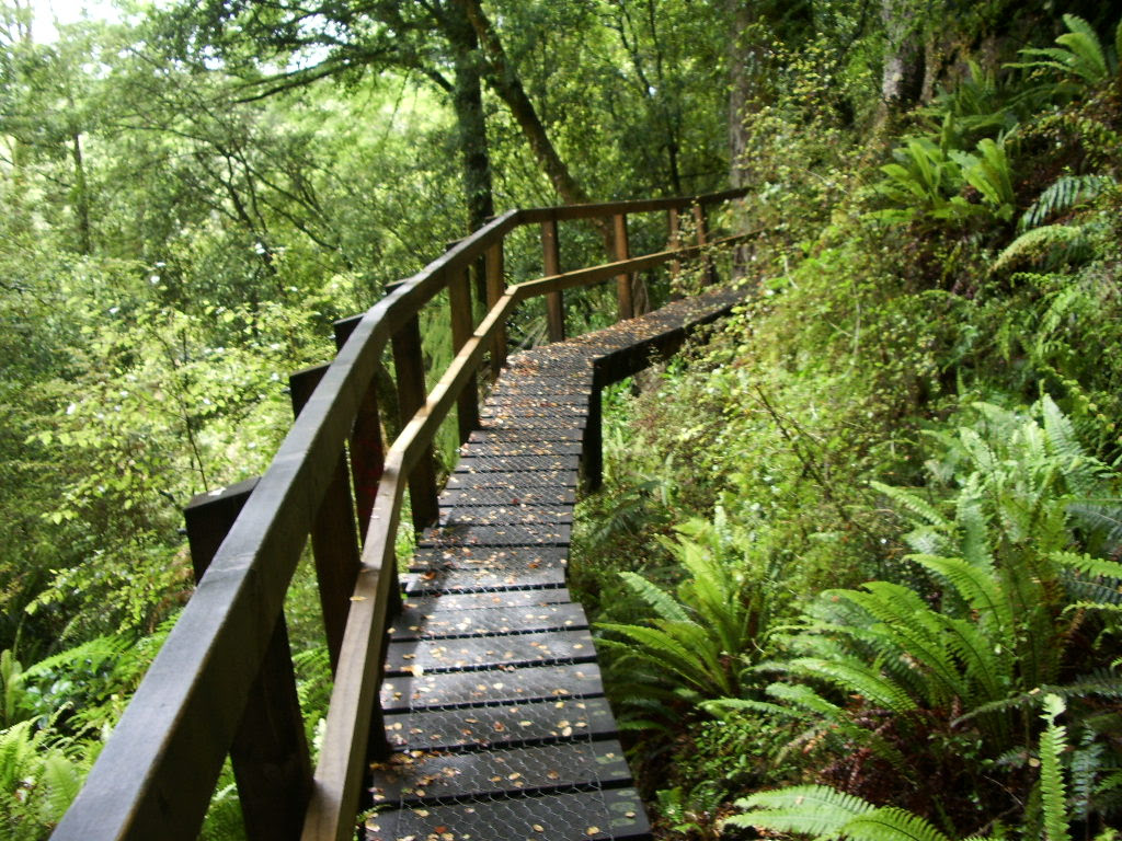 http://upload.wikimedia.org/wikipedia/commons/1/1a/Hollyford1579.jpg