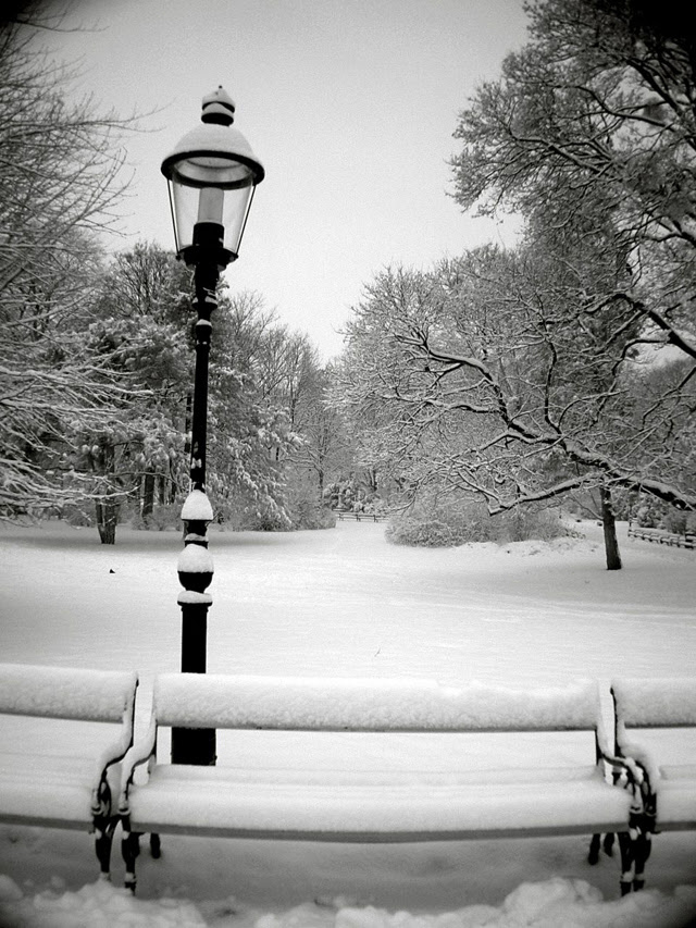 winter snow photography examples