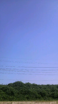 20090817190850