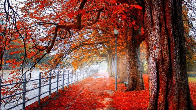 曾经有位伟人说过一句名言 人类对大自然的每一次胜利都会换来大自然的无情报复 过去总以为它指有个伟人曾经说过 大自然报复人类的句子