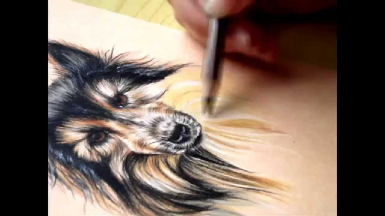 How to draw fur- colored pencils - YouTube