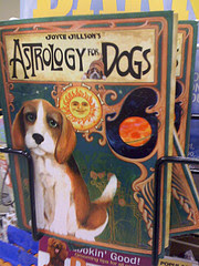 Astrology for Dogs