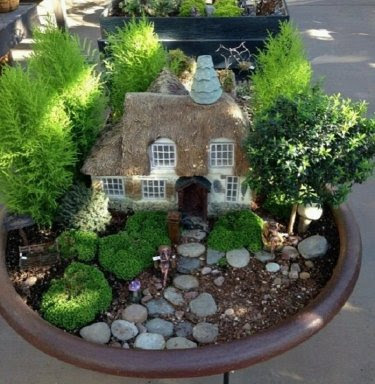 Mini jardines.