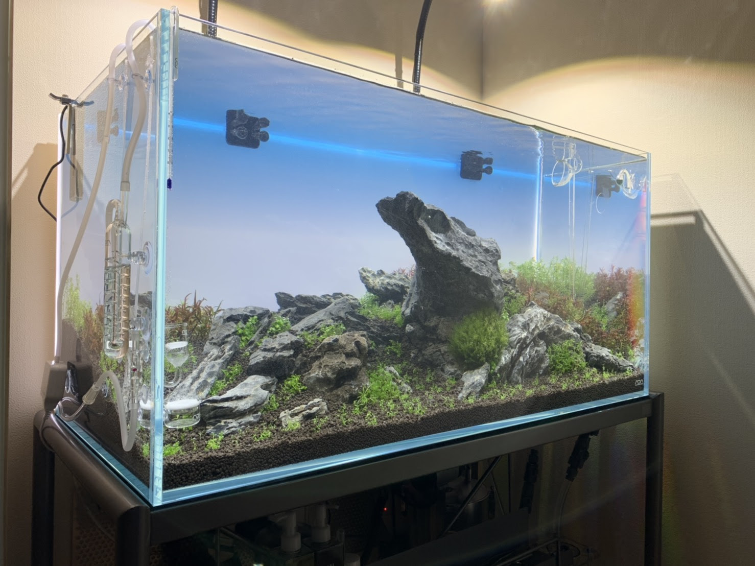 ブログをサボって出張ばかりいっておりました Aquarium Tall Man