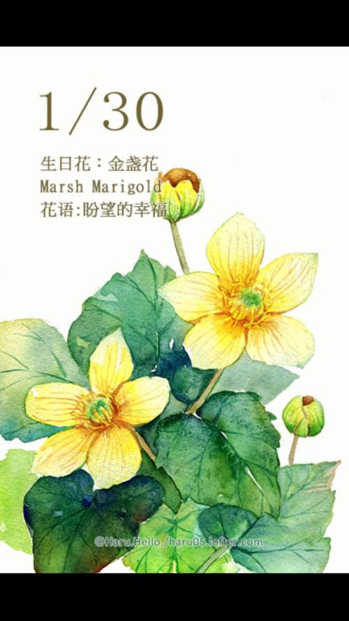 2月26日是什么生日花2月26日生辰花 周易算命网