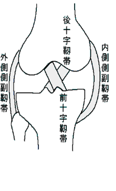 吉田整形外科 整形外科疾患の紹介