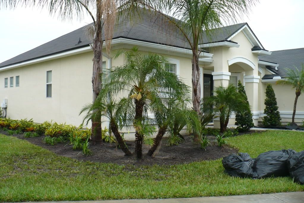 ... Front yard - Jacksonville - Florida (FL) - Page 2 - City-Data Forum