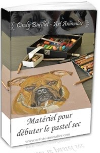 Peut-on mélanger aquarelle et pastel sec ?