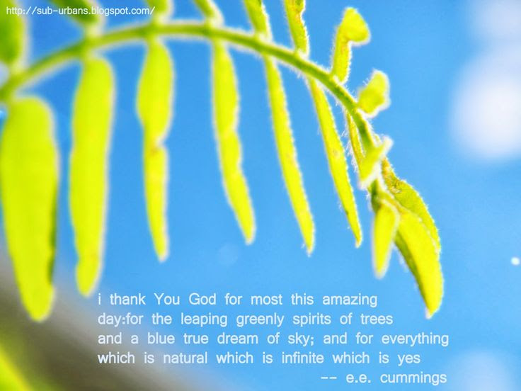 Love this poem by e.e. cummings - i thank You God for most this ...