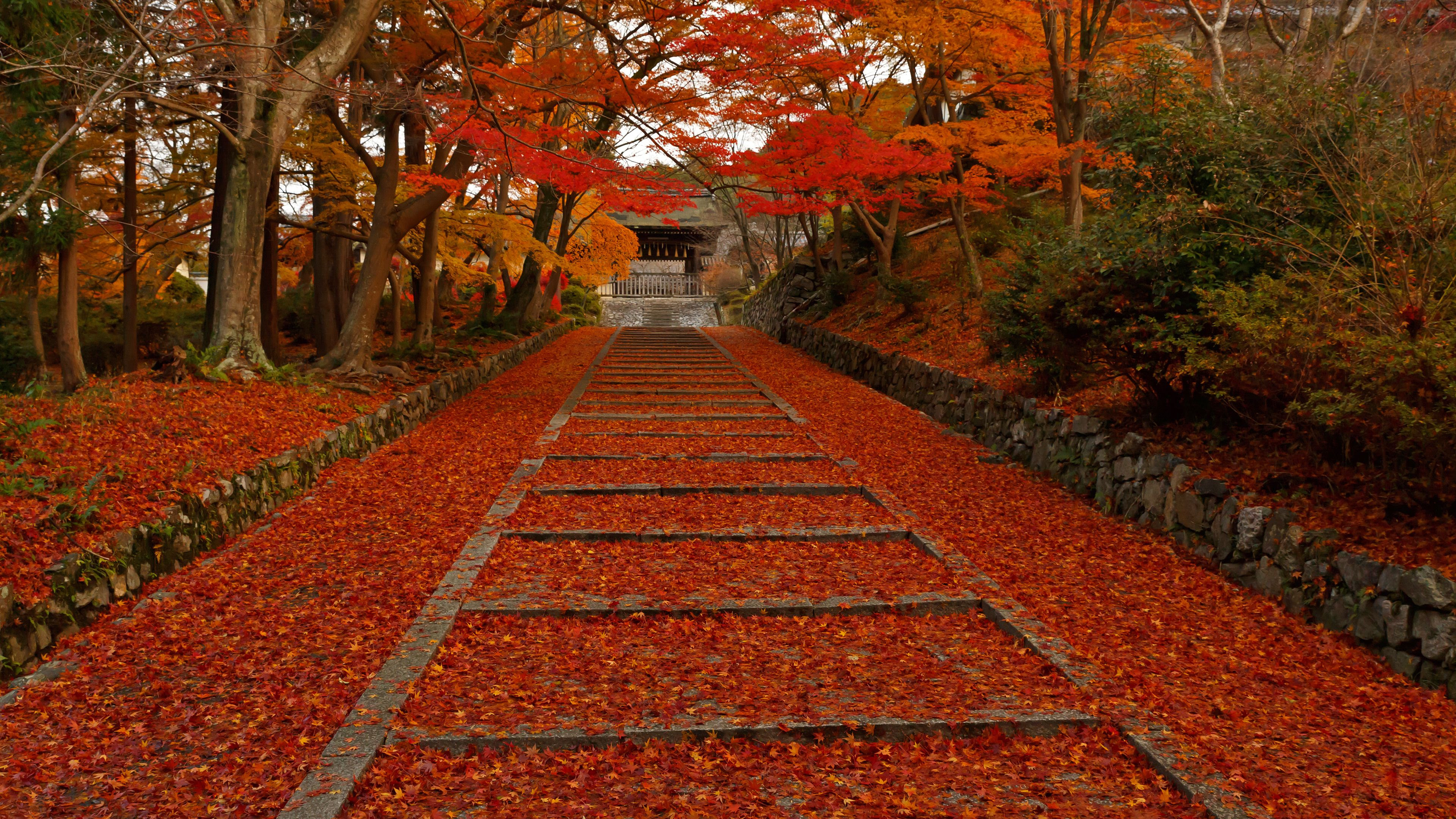 4k 12年 紅葉の京都壁紙その14 計9枚 壁紙 日々駄文