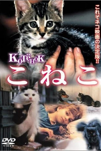 Kép
