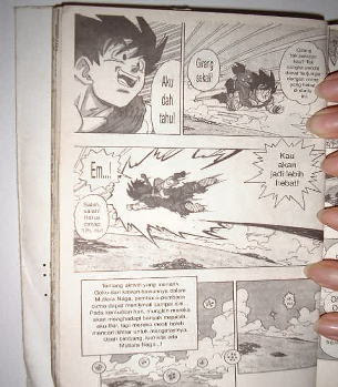 スポンサーサイトもご覧ください みなさ んドラゴンボールの最終回を覚えていますか ドラゴンボールには幻の続きがあったのです 漫画通の皆様方には ドラゴンボールの最終回はご記憶に新しいことと存じ上げます その最後の場面が下のコマです 魔