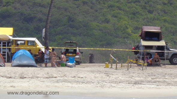Finalmente han ido dejando el nido de tortuga en paz