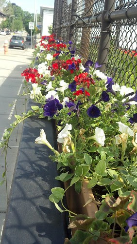 Franklin, MA: railroad bridge flowers