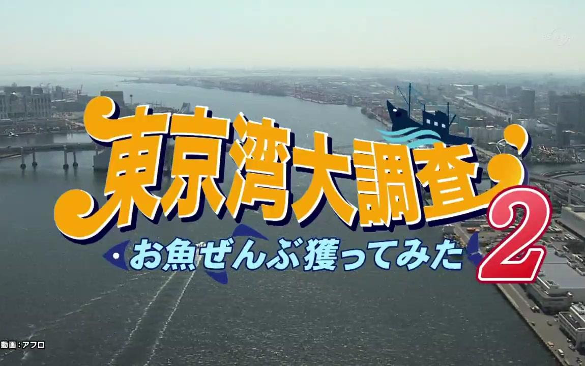 東京湾大調査 お魚ぜんぶ獲ってみた２ 哔哩哔哩 Bilibili