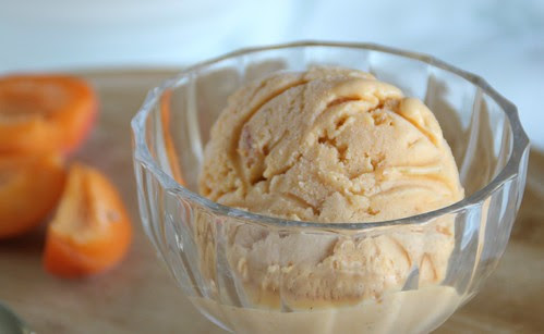 Roasted Apricot Gelato 4