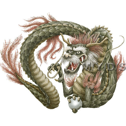 スマホ用ページ 龍 東洋系ドラゴン のイラスト 条件付フリー素材集