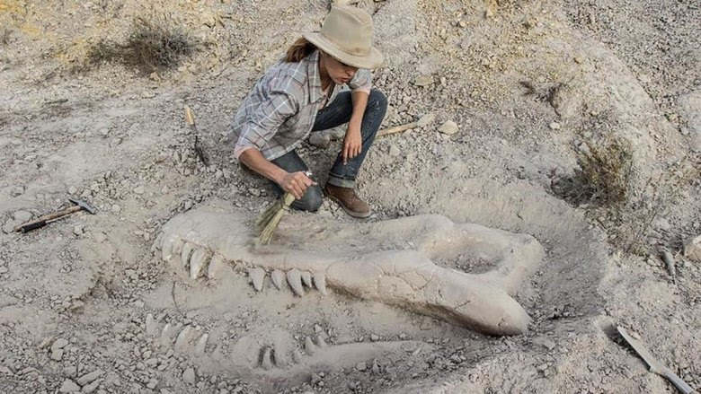 Valley of Bones french 2017