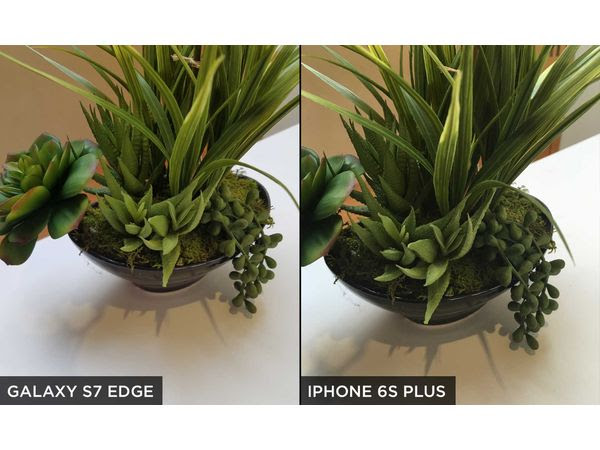 galaxy s7 edge iphone 6s plus