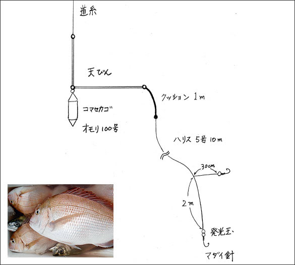 鯛紅丸 たいこうまる 新潟東港 真鯛釣り専門釣り船店 仕掛け