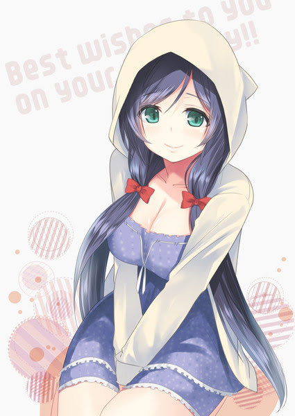 ラブライブ のんたん誕生日絵 Pixiv年鑑 B