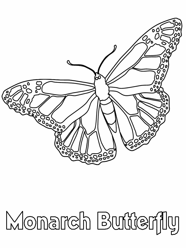 Monarch Butterfly Coloring Book Page Clip Art Library