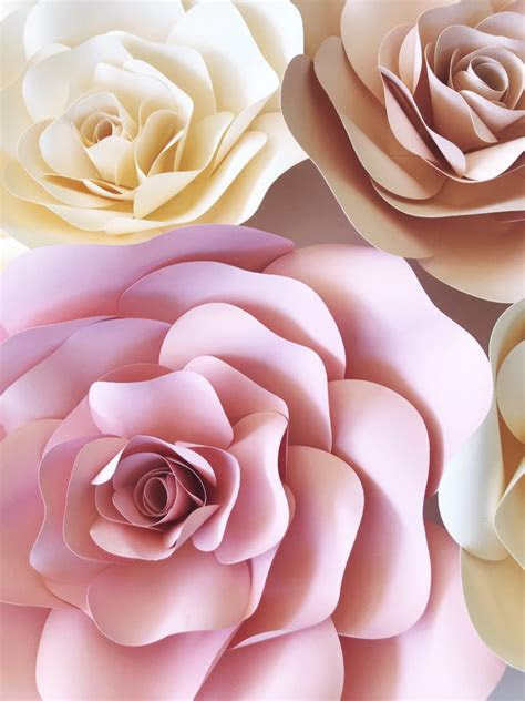 Home printer and printer paper; downloadable free rose paper flower template pdf free template and