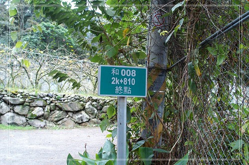 PICT4659