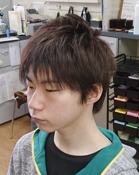 プリンスの短刀直毛 たんとうちょくもう ブログ N カテゴリよりどうぞ 継続は力なり 髪の形状記憶力も継続は力なり