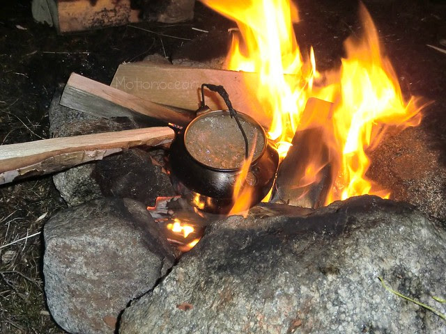 TELTTUR2