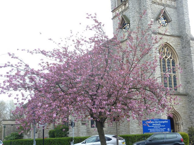 Spring Near St. John's Church