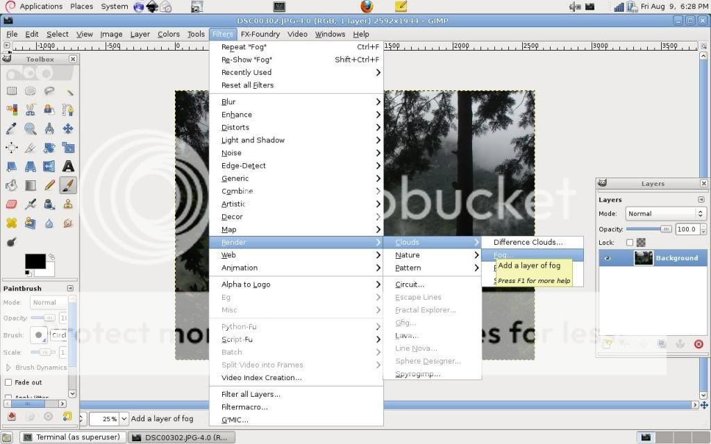  photo 2_fog_select.jpg