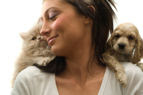Pet Tip