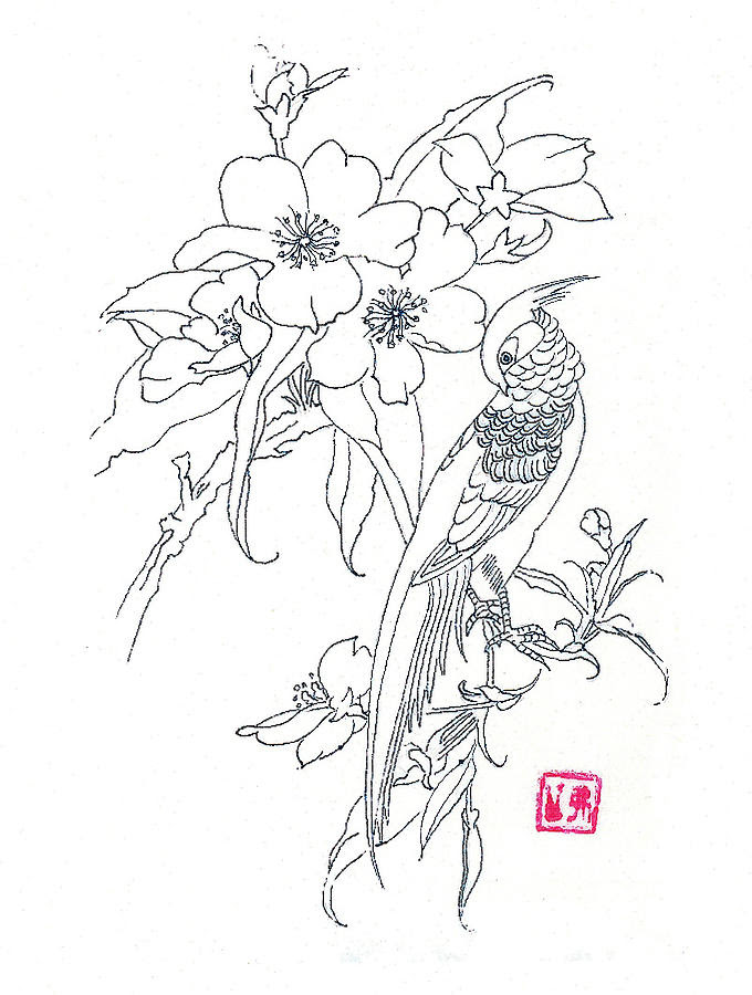 Flower And Bird Drawing At Getdrawings Free Download