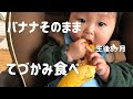 画像 生後 8 ヶ月 830409-生後 8 ヶ月検診 ひっかかる