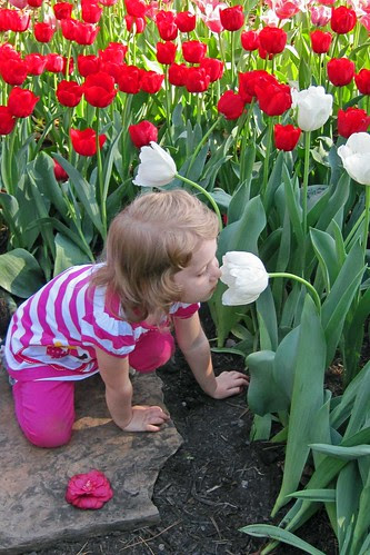 Smells So Sweet