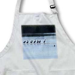 Florene Birds - White Pelicans Gather - Aprons