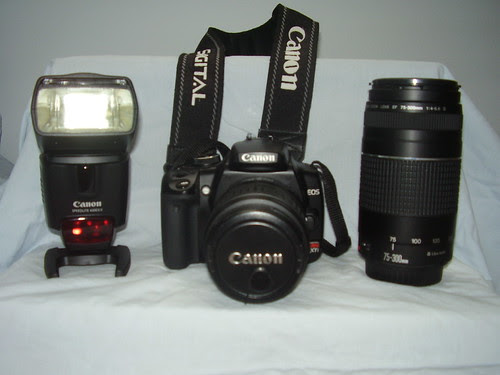 canon digital cameras