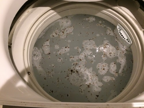 酸素系漂白剤が洗濯槽クリーナーに使えちゃう ビックリするほど汚れがとれます 滋賀のママがイベント 育児 遊び 学びを発信 シガマンマ ピースマム