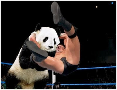 randy orton rko. randy orton rko a panda