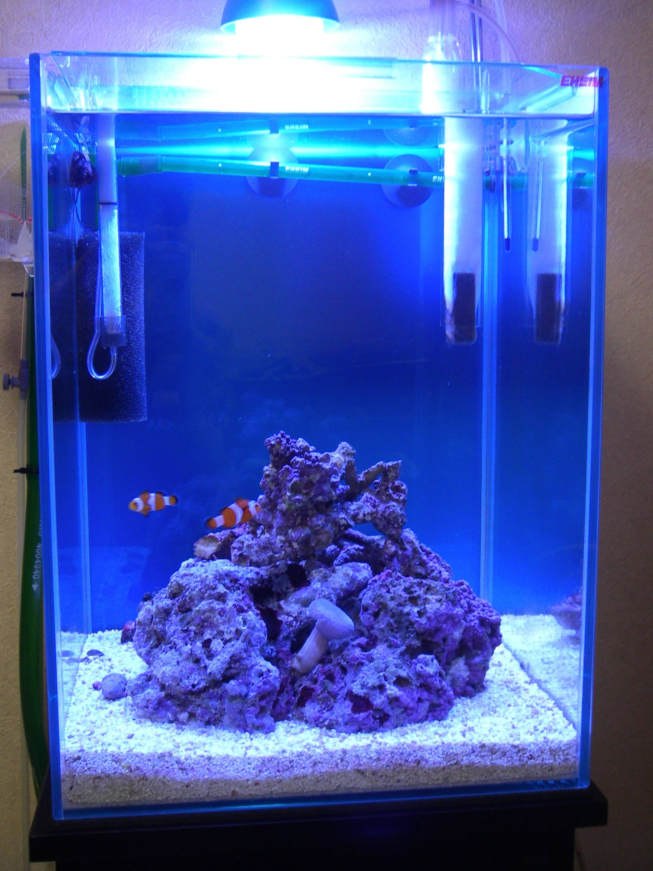 1845円 超人気高品質 海水魚 ｓグレードライブロック ３０ｃｍキューブ水槽セット １セット 形状お任せ 沖縄別途送料