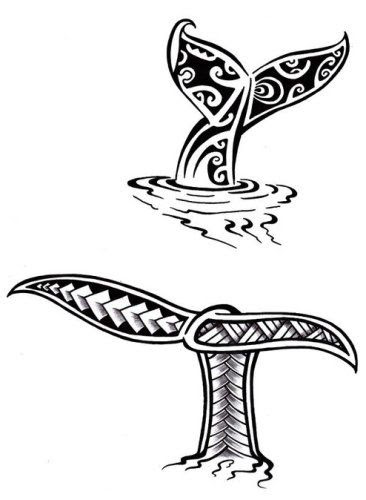 dessin de queue  Les dessins et coloriage