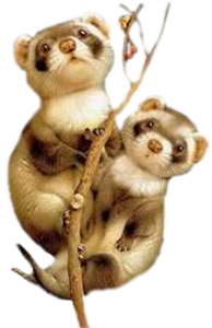 png to how jpg /users/tbalze/animal/Png of Index