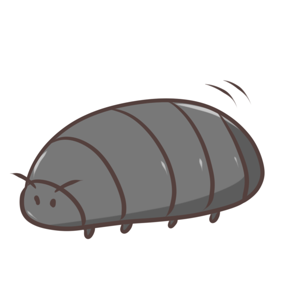 ダンゴ虫のイラスト かわいいフリー素材が無料のイラストレイン