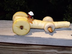 Parsnip racer by Teckelcar