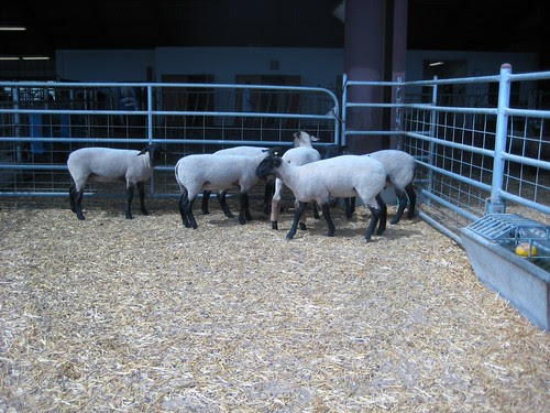 Mt SAC Farm by you.