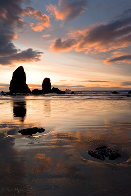 Cannon Beach